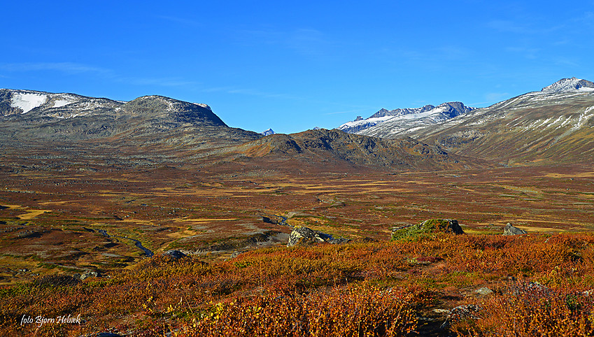 En flott høsrdag