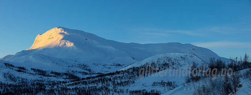 Skørsnøse i kveldssol en januarettermiddag.