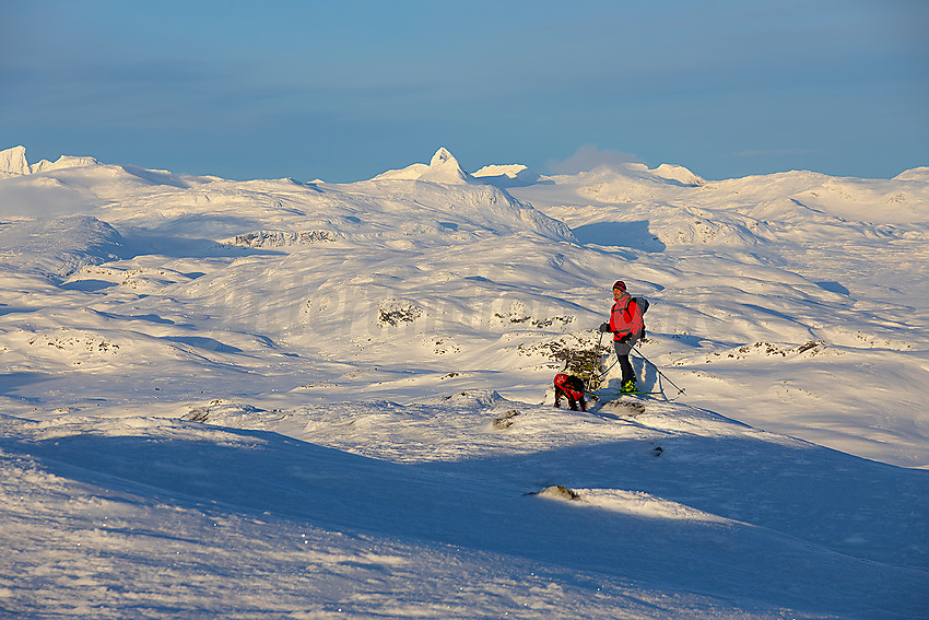 På Skørsnøse med Uranostinden sentralt i bakgrunnen.