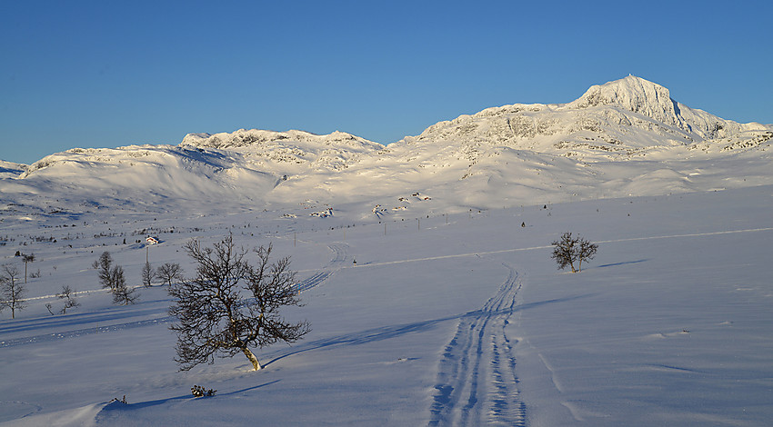 En flott morgen i fjellet