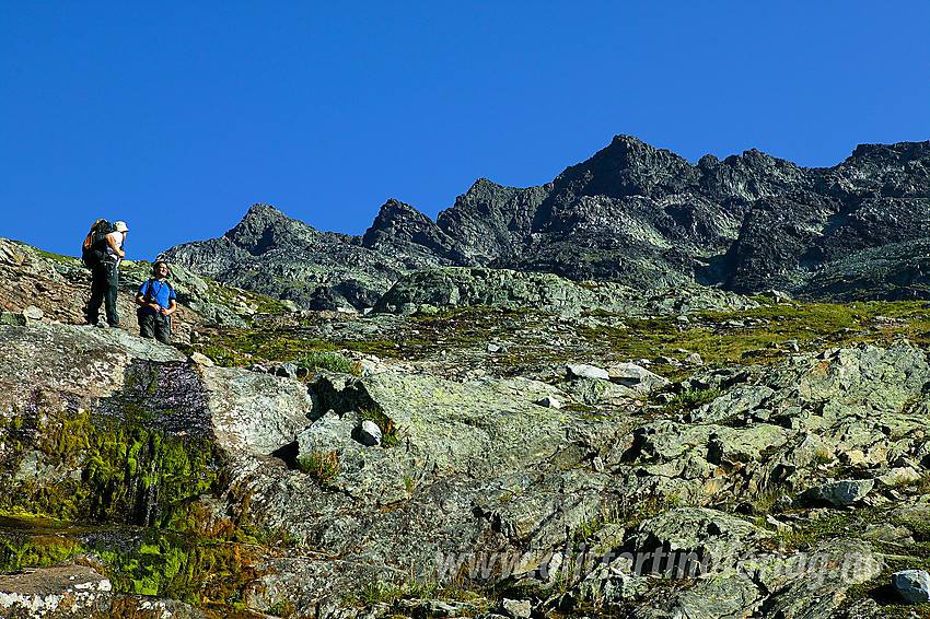 Oppe i lia mot Torfinnstindane fra sør. I bakgrunnen ses Øystre Torfinnstinden (2120 moh) som høyeste punkt. Renna som er vanligste atkomst ses godt i høyre del av bildet; trang og delvis skyggelagt.