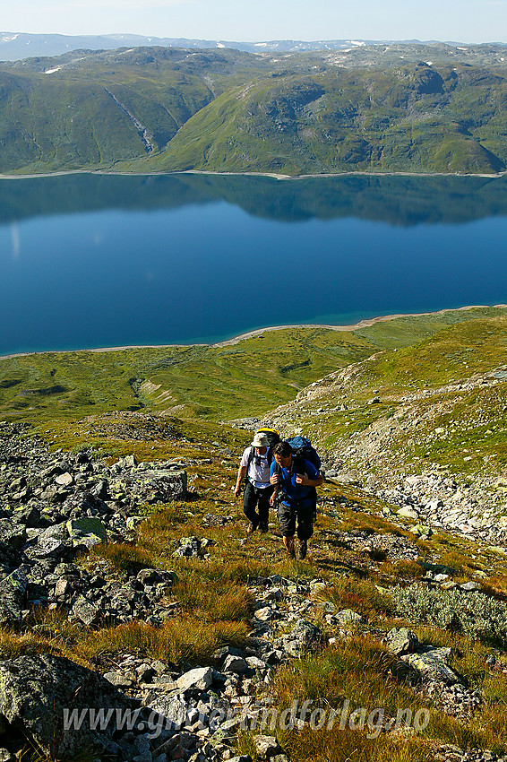 På vei opp mot Torfinnstindane fra sør. I bakgrunnen Bygdin og fjellene på sørsiden. Nede ved stranda skimtes Nybue.