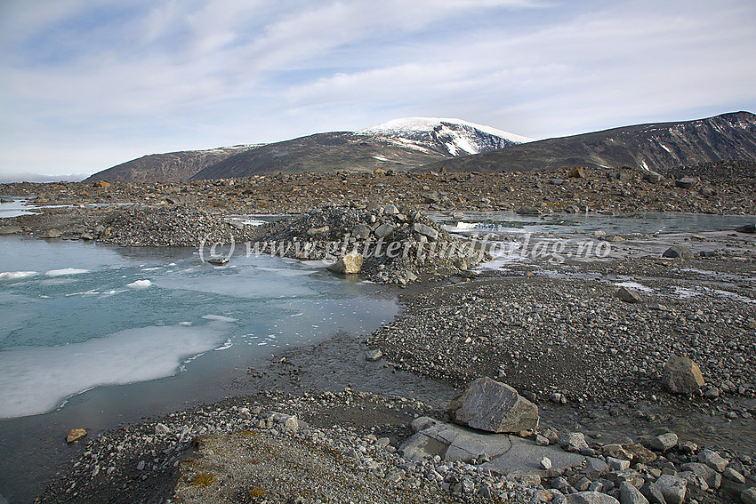 Ved fronten på Veobrean med morenelandskap i forgrunnen og Glitterrundhøe (2089 moh.), Glittertinden (2464 moh.) og Ryggjehøe (2142 moh.) i bakgrunnen.