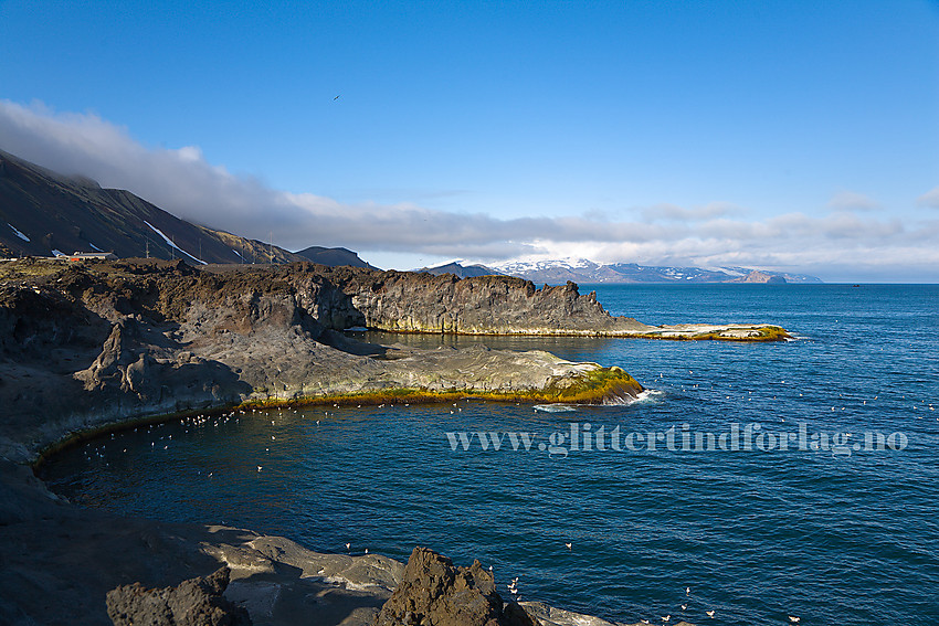 Like ved Båtvika nær Olonkinbyen på Jan Mayen med flott kyst i kveldssol. I bakgrunnen Nord Jan med Beerenberg innhyllet i skyer. Eggøya er lett gjenkjennelig.