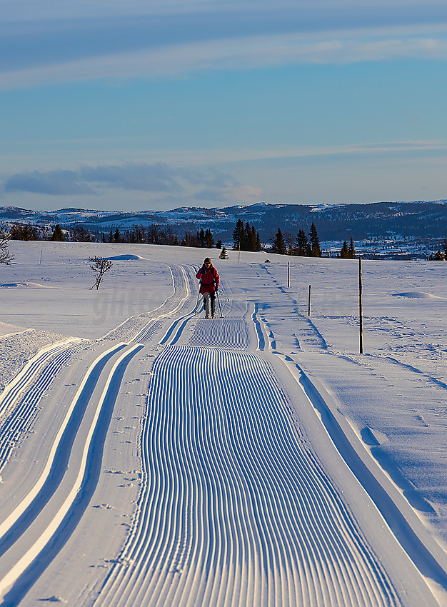 Skiløper i Raudalen, del av løypenettet til Yddin og Javnlie løypelag.