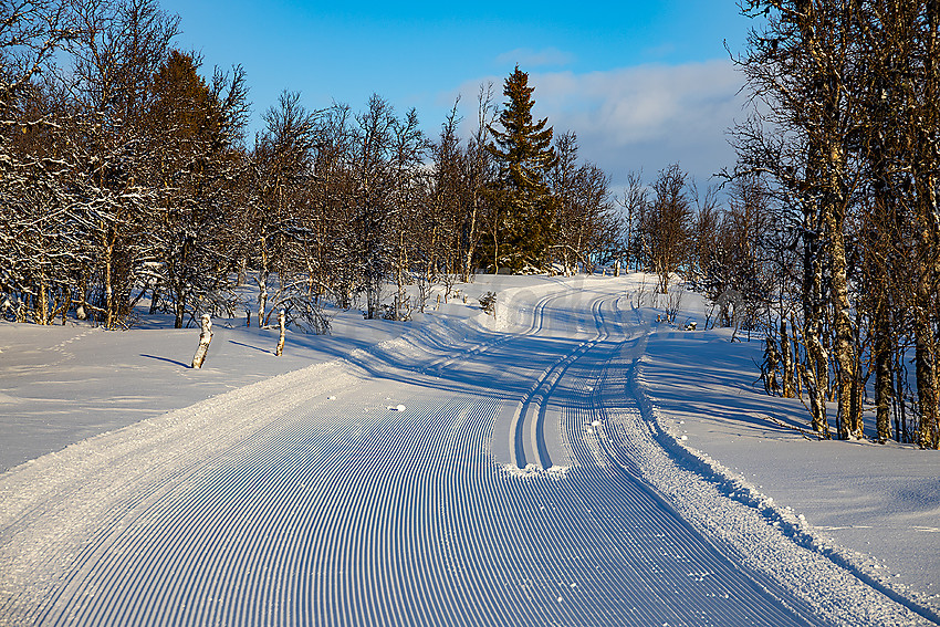 Skispor nær Raudangstølen i løypenettet til Yddin og Javnlie løypelag.