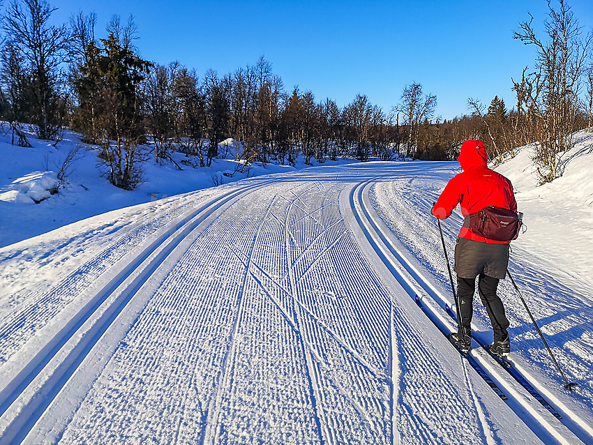 Skiløper i løypenettet rundt Vaset.