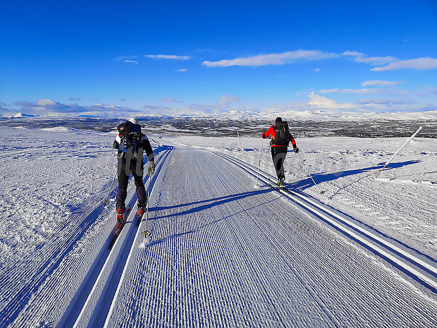 Skiløpere i flotte spor litt nedenfor Spåtind.