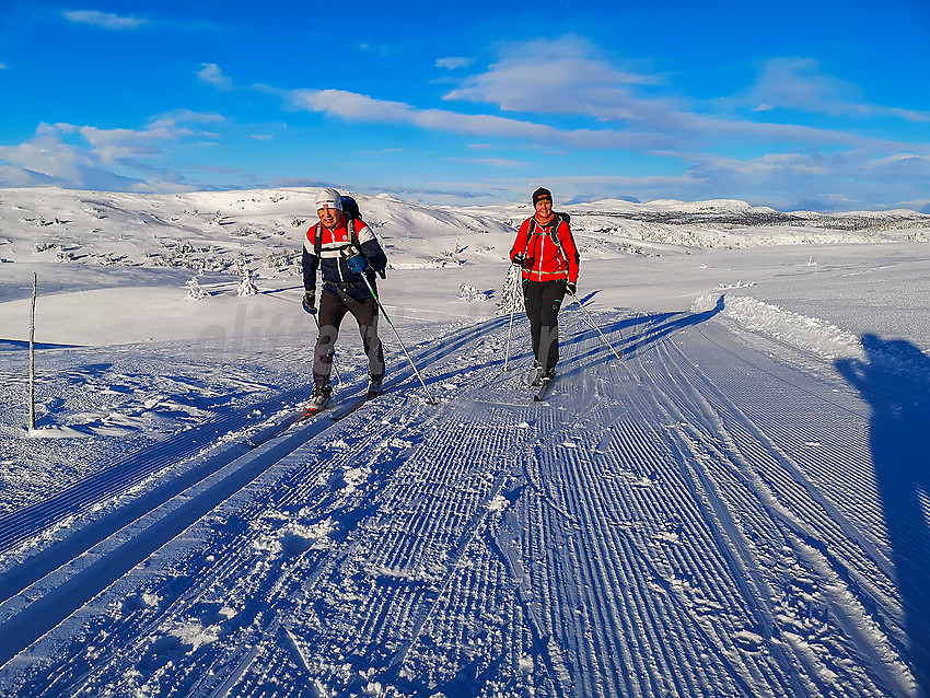 Skiløpere på vei opp mot Jomfruslettfjellet fra nord.