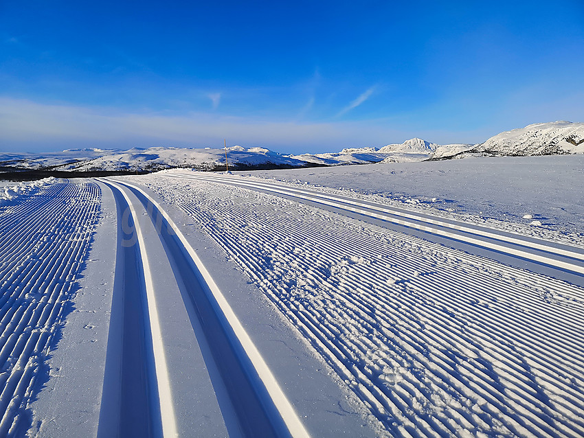 Skispor mellom Olevatnet og Javnlie (rød 3)