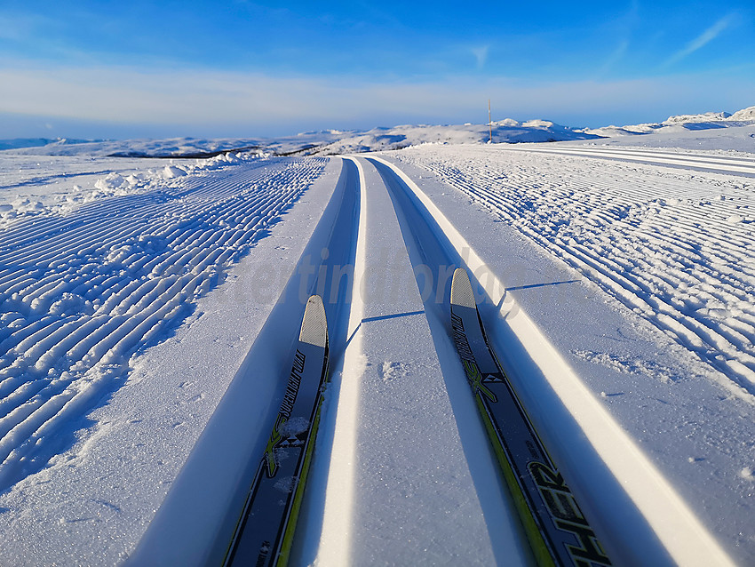 Skispor mellom Olevatnet og Javnlie (rød 3)