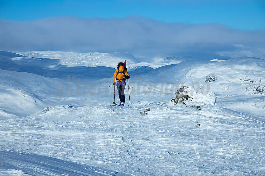 På toppen av Skørsnøse.