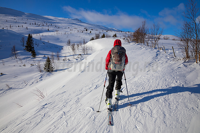 På vei mot Gilafjellet på randoski.