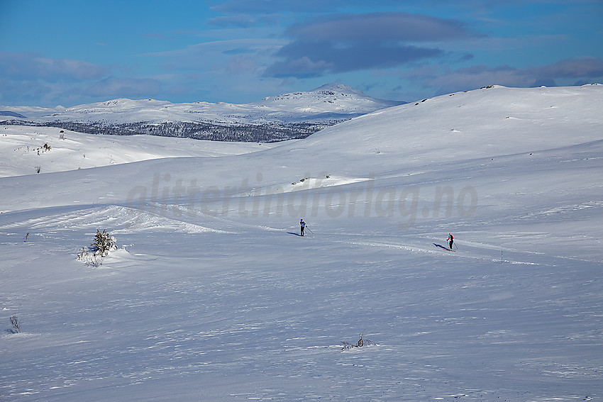 Skiløpere på Jomfruslettfjellet. I bakgrunnen ses Djuptjernkampen.