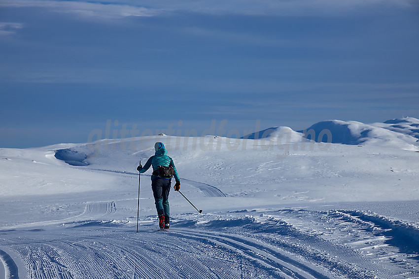 Skiløper på Jomfruslettfjellet.