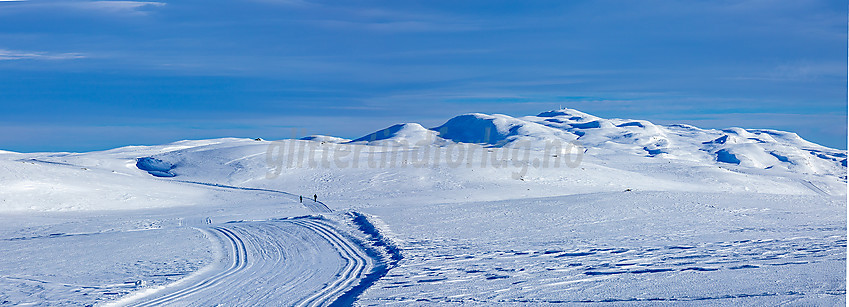 Skiløype på Jomfruslettfjellet med Spåtind i bakgrunnen.