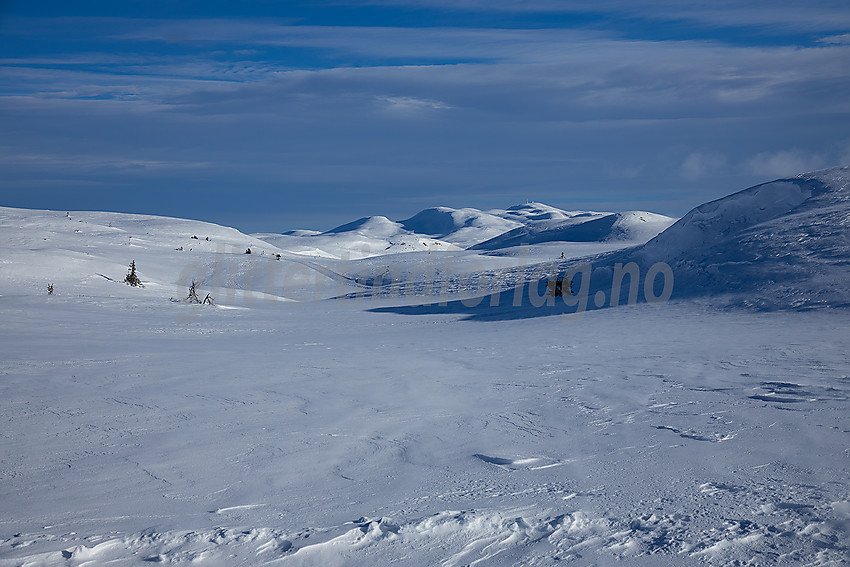 Fra løypenettet på Jomfruslettfjellet med Spåtind i bakgrunnen.