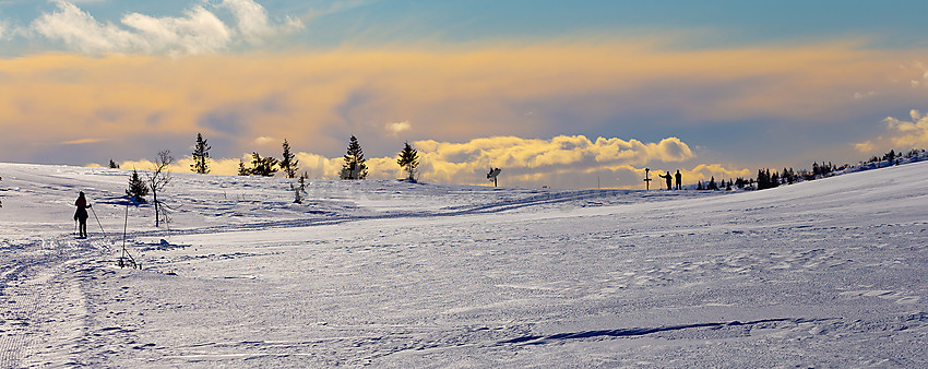 Fargerik stemning i løypenettet til Hedalen Løypelag.