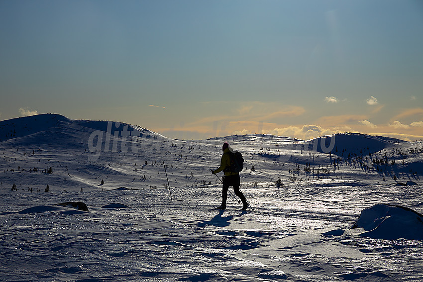 Skiløper på tur med Surtind i bakgrunnen. Bildet er fra løypenettet til Hedalen Løypelag.