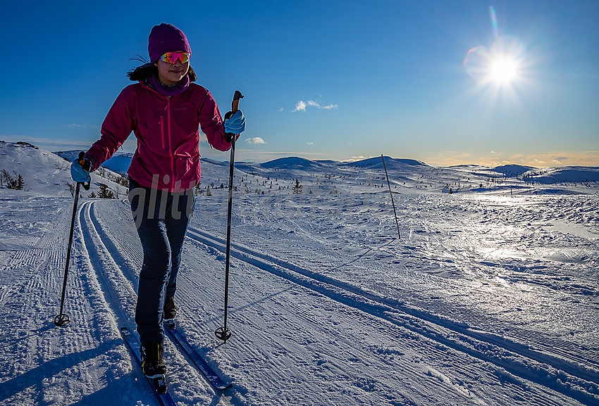 Skiløper i løypenettet til Hedalen Løypelag. Surtind i bakgrunnen.