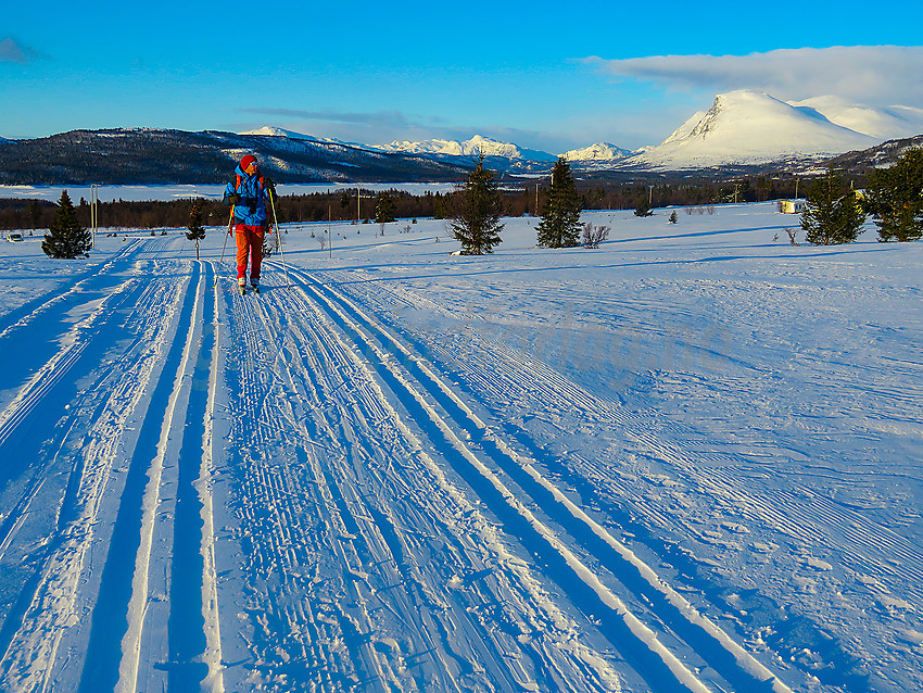 Morgenstund i løypenettet til Stølsvidda Løypelag. Skogshorn ses bak til høyre.