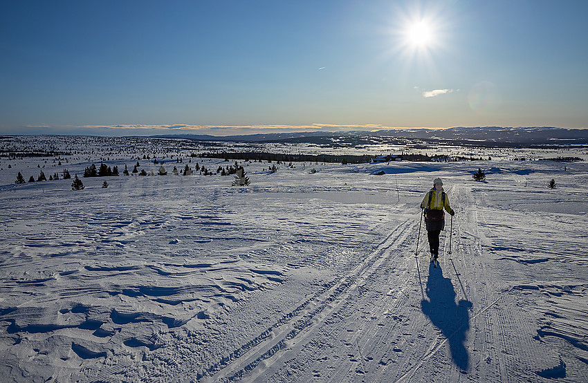 På vei opp de siste bakkene mot Revulen i løypenettet til Stølsvida løypelag.