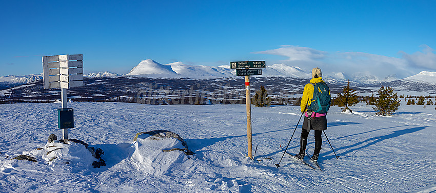 Fin utsikt fra Revulen i løypenettet til Stølsvidda løypelag, mot bl.a. Skogshorn.