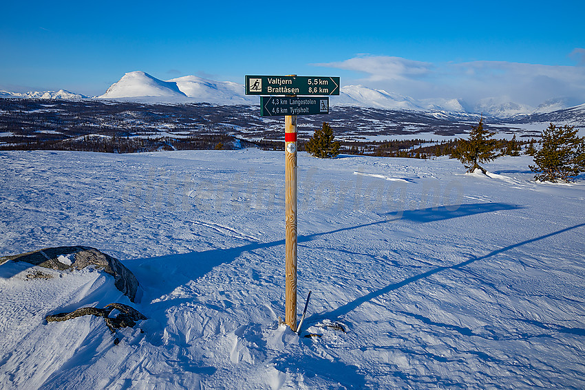 På toppen av Revulen i løypenettet til Stølsvidda løypelag. I bakgrunnen blant annet Skogshorn.