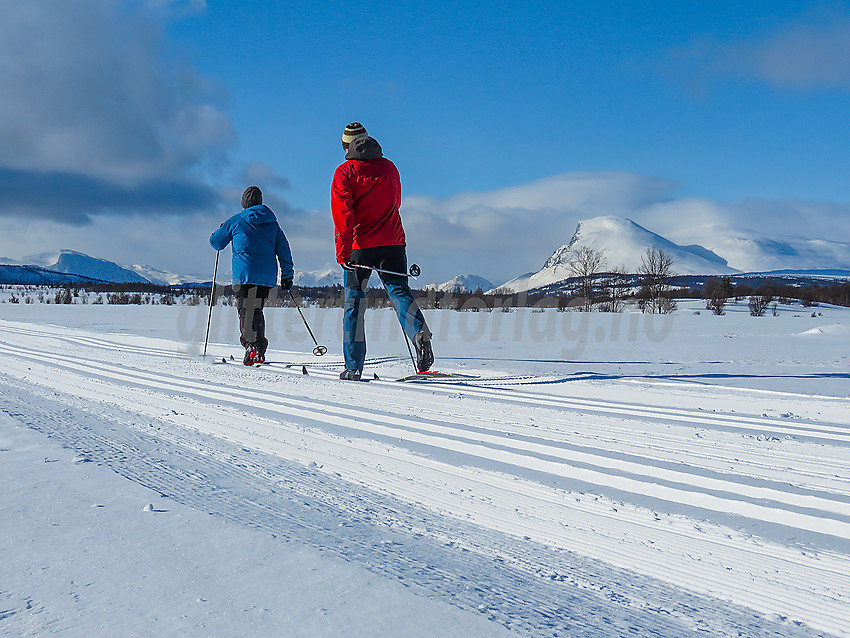 Skiløpere i løypenettet til Stølsvidda løypelag.