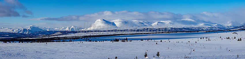 Panoramautsikt fra skiløypene i Stølsvidda løypelag mot Skogshorn m.m.