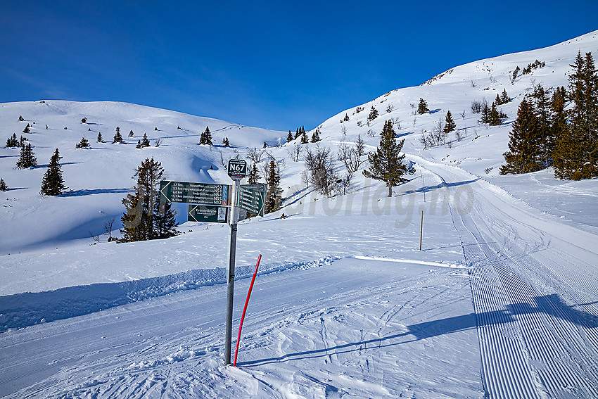 Løypekryss ved foten av Nystølvarden.