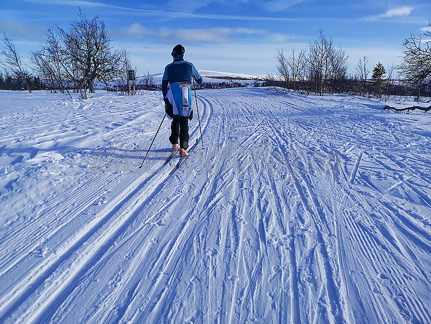 Skiløper i Vasetløypene.