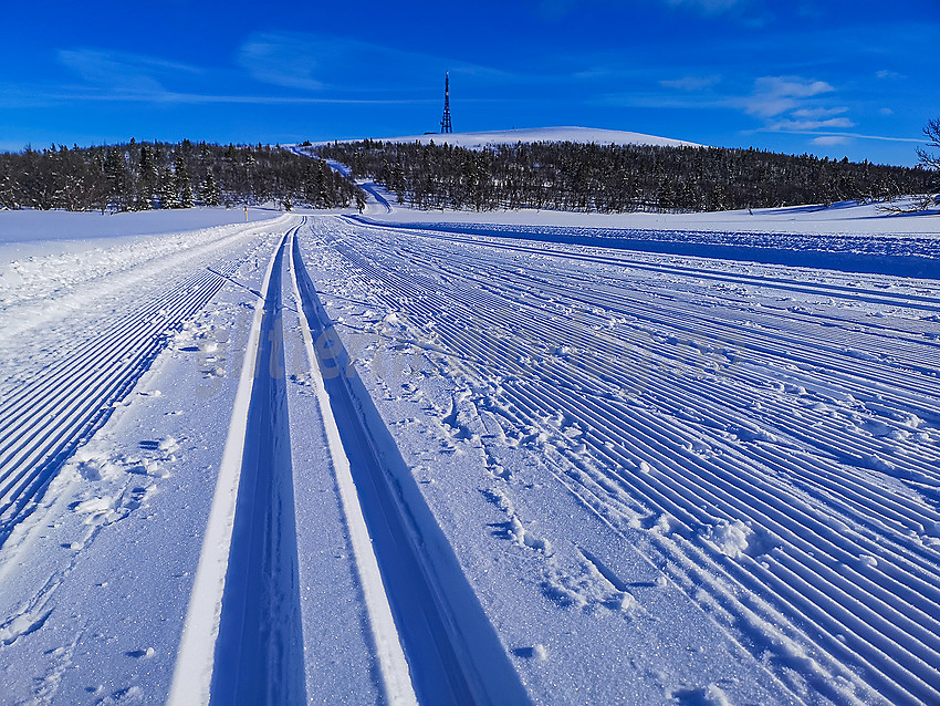 Mot Ålfjell.