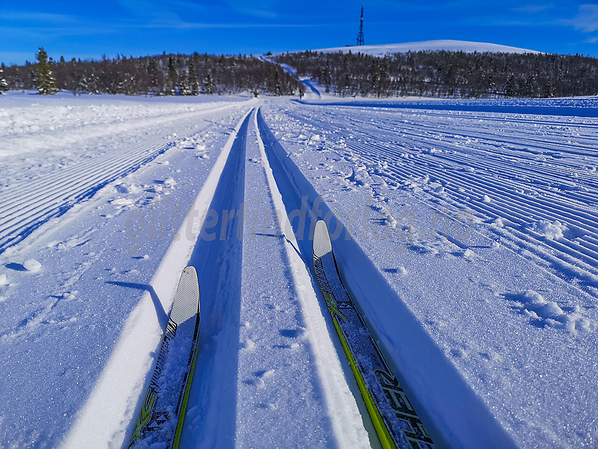 Mot Ålfjell.