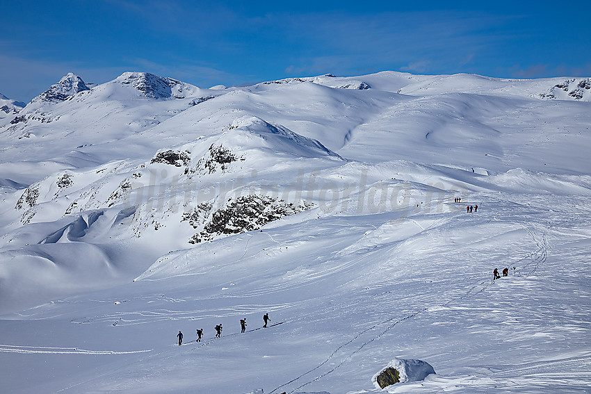 Fra Synshorn mot Heimre Fagerdalshøe og videre i retning Jotunheimen.