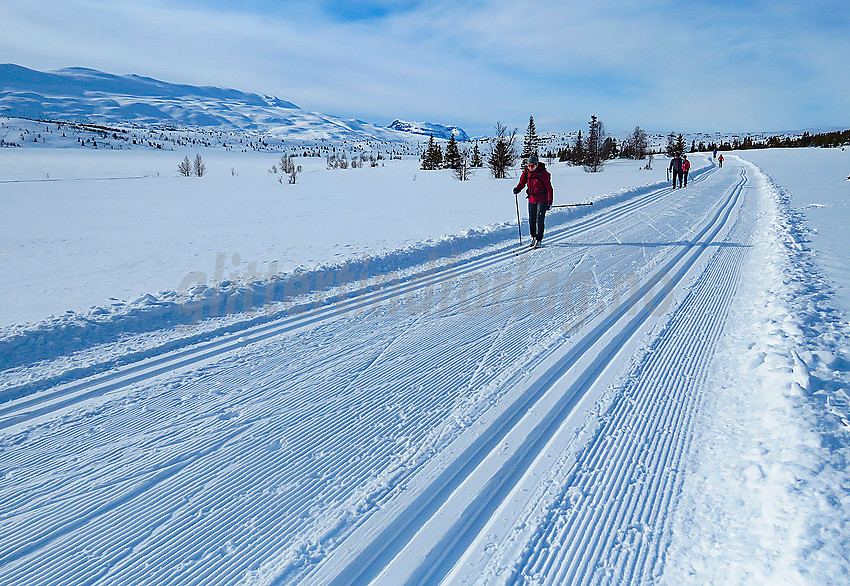 Skiløper ved Viksyndin i Vestfjelløypene. Gilafjellet bak til venstre.