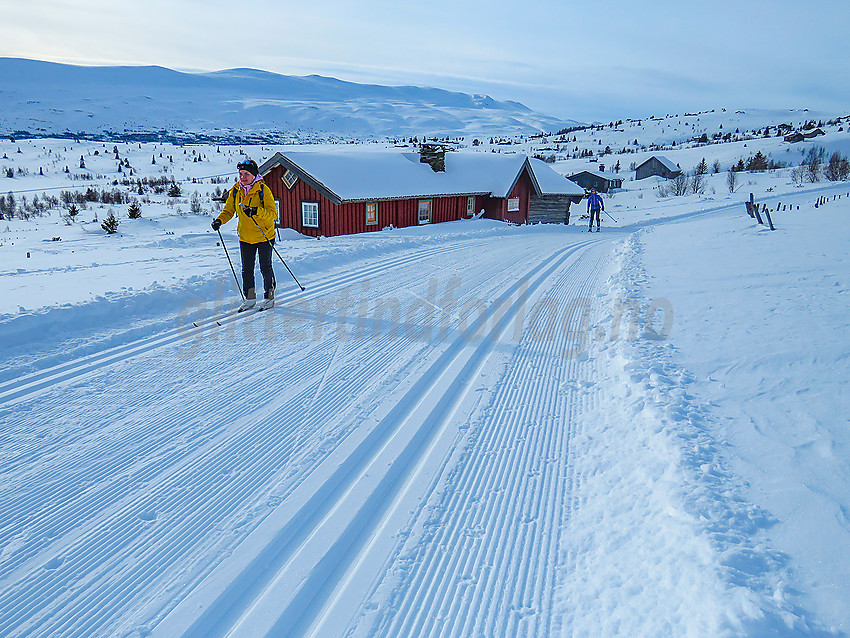 Fra skiløypa i vestenden av Søre Syndin. Gilafjellet i bakgrunnen.