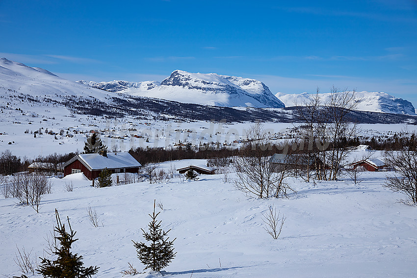 I løypenettet til Vestfjelløypene like ved Syndinstøga med Grindane i bakgrunnen.