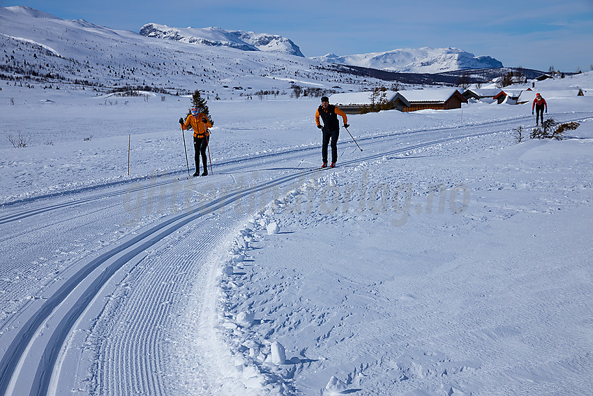 I løypenettet til Vestfjelløypene med Grindane i bakgrunnen.