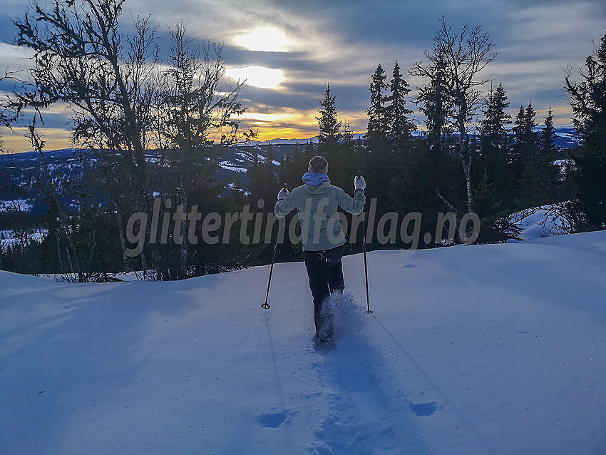 Trugavandring i skogen ved Valdres Skisenter Skrautvål.