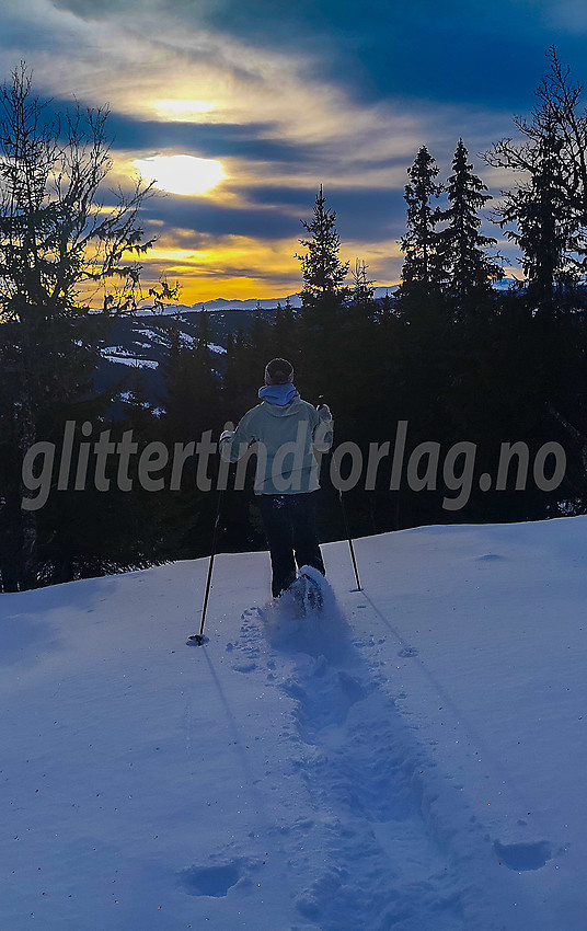 Trugavandring i skogen ved Valdres Skisenter Skrautvål.