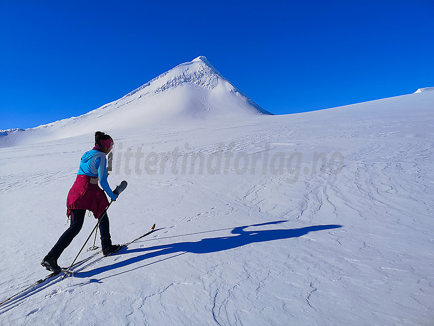 På ski på Holåbrean med Midtre Holåtinden bak.