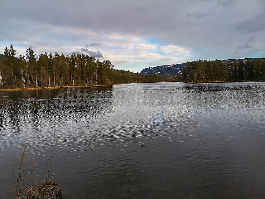 Ved Fløafjorden Nord-aurdal.