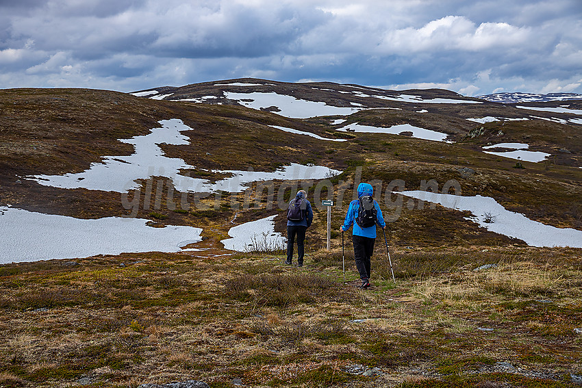 På vei fra Sangeknatten mot Hollastølsfjellet.