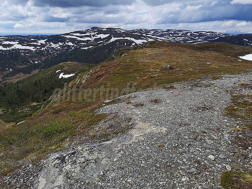 Fra Langehallfjellet mot Falken og Nystølfjellet og Meitebekkfjellet.