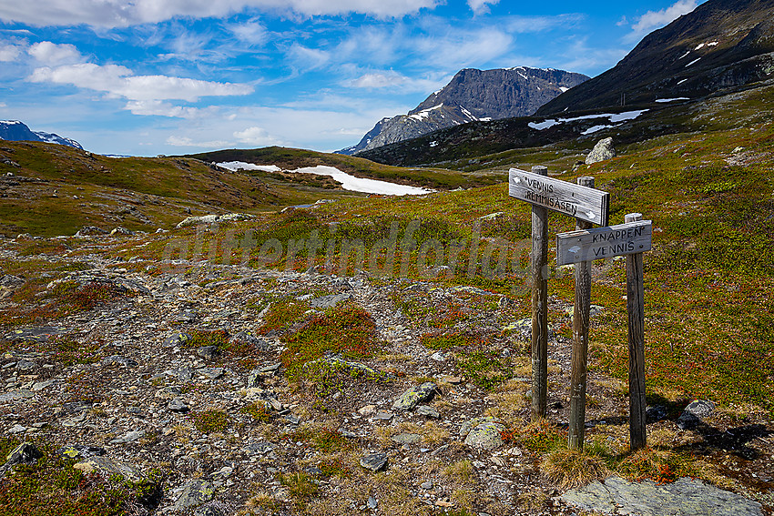 Nær Knappen med Skutshorn bakenfor.