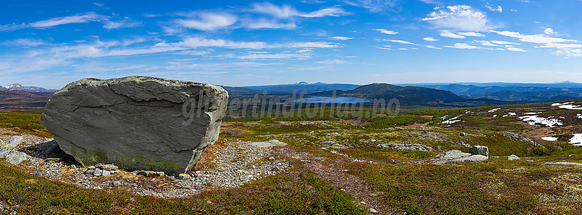 På Melbysfjellet ved Beitostølen med Javnin og Javnberget i bakgrunnen.