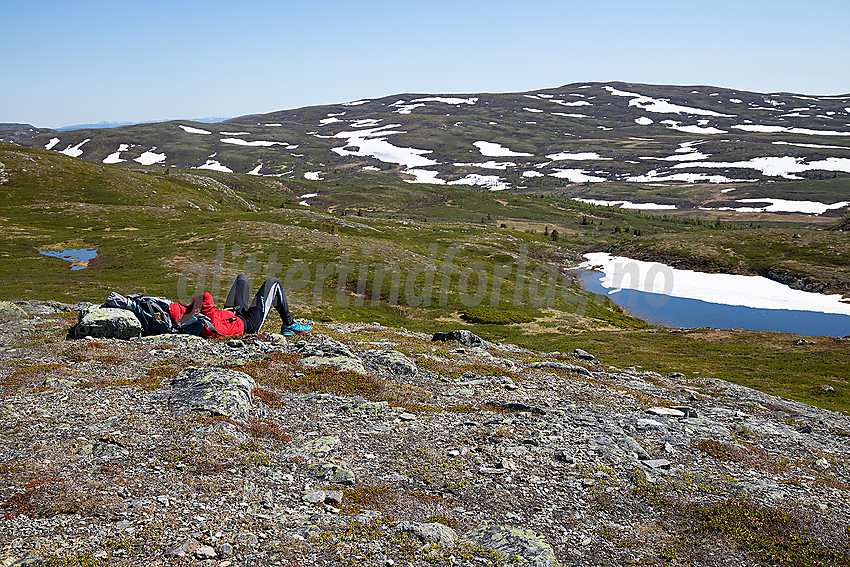 Fra Falken med ustikt mot Nystølfjellet.