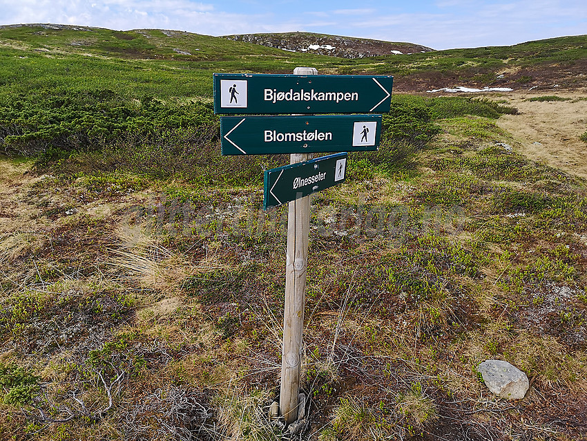 Veiviser på Bjødalsfjellet i Sør-Aurdal.