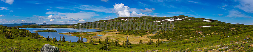 Dansartjerne og Rauddalsfjellet